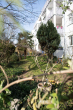 Garten - Modernisierte 2-Zimmer-Wohnung mit Tiefgarage in Liederbach am Taunus