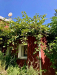 Garten - Haus in Feldrandlage mit großem Garten & Einliegerwohnung – Wiesbaden-Delkenheim – Mietkauf möglich