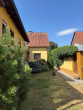 Außen_Garten - Zwei Gebäude auf grünem Grundstück: Doppelhaushälfte mit Hinterhaus in Hattersheim-Okriftel